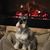Janis Pedersen's profile image