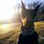 Faith Reipold's profile image