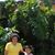 Tricia Bonilla's profile image