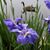 Wanda Reed Hearrell's profile image