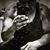 Loera Marcelino's profile image