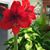 Debra Walsh's profile image