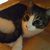 Rita Hoffman Tirrell's profile image