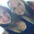 Amanda Delee's profile image