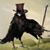 Dana Greene's profile image