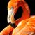 Jack Cantell's profile image