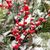 Linda Green Wadlington's profile image