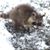 Deb Bauer's profile image