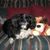 Debbie Dawson's profile image