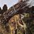 David Cissell's profile image