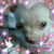 Tere Martinez's profile image