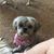 Rhonda Reynolds McClellan's profile image