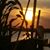 Karen Holder's profile image