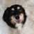 Jo Pancharoen Slight's profile image