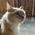 Brenda Farnes's profile image