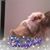 Laura Jean Hoeffner's profile image