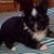 Patti Doan Pedersen's profile image