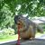 Karen Martin's profile image