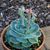 Suzan Sullivan's profile image