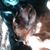 Trina Gunnoe's profile image