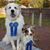 Jody Thompson's profile image