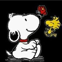 Donna Dee Lingle's profile image
