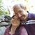 Jewel Whittington's profile image