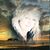 Kimberli Kibler's profile image