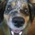 Amber Hiatt's profile image