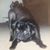 Ryan Carter's profile image