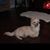 Sylvia Vazquez's profile image