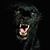 Tony Benedetto's profile image