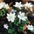 Deb Johnson's profile image