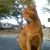 Dennis Wiles's profile image