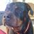 Marie Pingatore Byrne's profile image