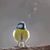 Gary Hughes's profile image