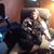 Jeannette Sroka's profile image