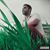 Mohamad Mohseni's profile image