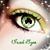 Mary Magill Regan Eisenman's profile image