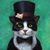 Verner Karl's profile image