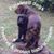 Linda J Caldwell's profile image