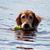 Sharon Polcher's profile image