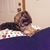 Sarah T Walker's profile image