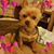 Barbara Glaser's profile image