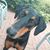 Clinton Brawner's profile image