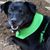 Kristy Miller Spaulding's profile image