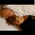 Darleen Palmieri's profile image