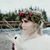 Valerie Peck's profile image