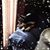 Sheryl Owsley's profile image