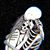 Jerry Ortiz's profile image